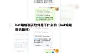 bat蝙蝠聊天软件是干什么的（bat蝙蝠聊天福利）