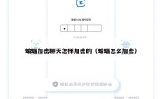 蝙蝠加密聊天怎样加密的（蝙蝠怎么加密）