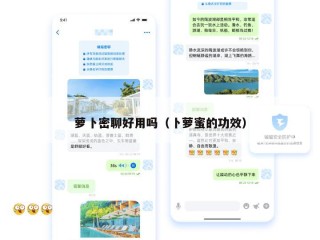 萝卜密聊好用吗（卜萝蜜的功效）