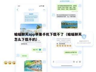 蝙蝠聊天app苹果手机下载不了（蝙蝠聊天怎么下载不的）
