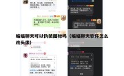 蝙蝠聊天可以伪装图标吗（蝙蝠聊天软件怎么改头像）