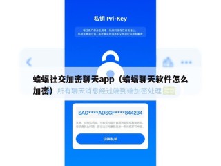 蝙蝠社交加密聊天app（蝙蝠聊天软件怎么加密）