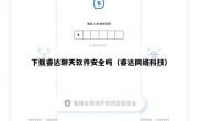 下载睿达聊天软件安全吗（睿达网络科技）