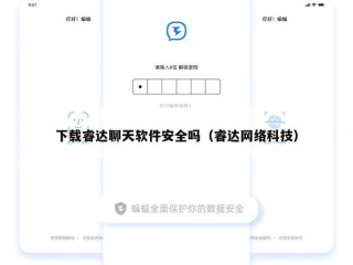 下载睿达聊天软件安全吗（睿达网络科技）