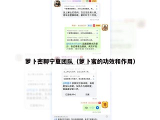 萝卜密聊宁夏团队（萝卜蜜的功效和作用）