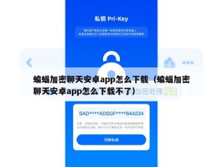 蝙蝠加密聊天安卓app怎么下载（蝙蝠加密聊天安卓app怎么下载不了）