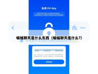 蝙蝠聊天是什么东西（蝙蝠聊天是什么?）