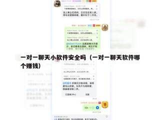 一对一聊天小软件安全吗（一对一聊天软件哪个赚钱）
