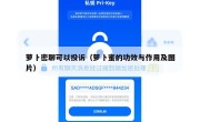 萝卜密聊可以投诉（萝卜蜜的功效与作用及图片）