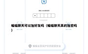 蝙蝠聊天可以加好友吗（蝙蝠聊天真的加密吗）