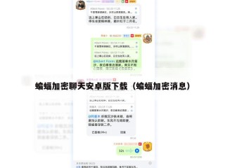 蝙蝠加密聊天安卓版下载（蝙蝠加密消息）
