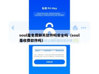 soul是免费聊天软件吗安全吗（soul是收费软件吗）