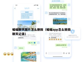 蝙蝠聊天图片怎么删除（蝙蝠app怎么销毁聊天记录）