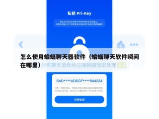 怎么使用蝙蝠聊天器软件（蝙蝠聊天软件瞬间在哪里）