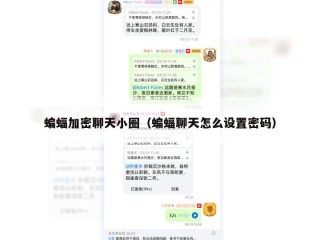 蝙蝠加密聊天小圈（蝙蝠聊天怎么设置密码）
