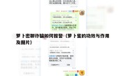 萝卜密聊诈骗如何报警（萝卜蜜的功效与作用及图片）