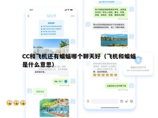 CC和飞机还有蝙蝠哪个聊天好（飞机和蝙蝠是什么意思）