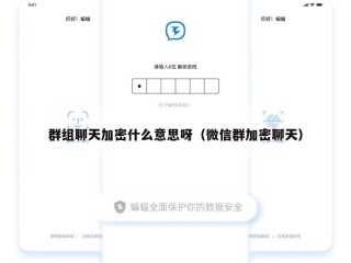 群组聊天加密什么意思呀（微信群加密聊天）