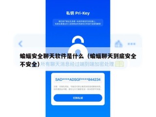 蝙蝠安全聊天软件是什么（蝙蝠聊天到底安全不安全）
