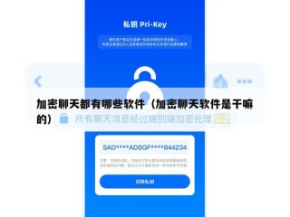 加密聊天都有哪些软件（加密聊天软件是干嘛的）