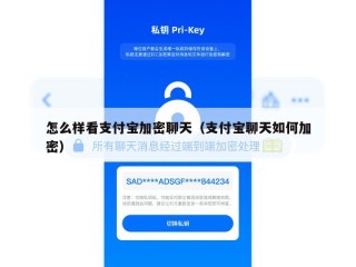 怎么样看支付宝加密聊天（支付宝聊天如何加密）