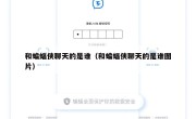 和蝙蝠侠聊天的是谁（和蝙蝠侠聊天的是谁图片）