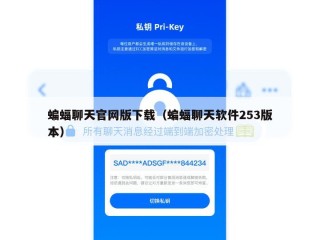 蝙蝠聊天官网版下载（蝙蝠聊天软件253版本）