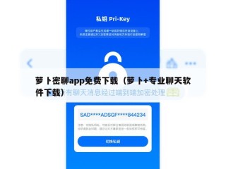 萝卜密聊app免费下载（萝卜+专业聊天软件下载）