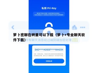 萝卜密聊在啊里可以下载（萝卜+专业聊天软件下载）