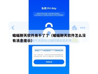 蝙蝠聊天软件用不了了（蝙蝠聊天软件怎么没有消息提示）