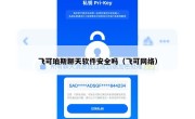 飞可珀斯聊天软件安全吗（飞可网络）