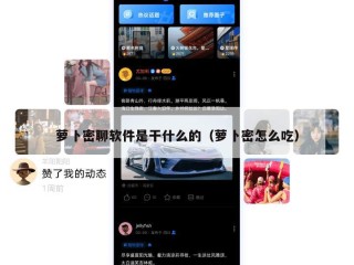 萝卜密聊软件是干什么的（萝卜密怎么吃）