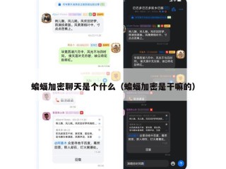 蝙蝠加密聊天是个什么（蝙蝠加密是干嘛的）