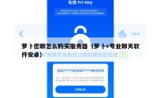 萝卜密聊怎么购买服务器（萝卜+专业聊天软件安卓）