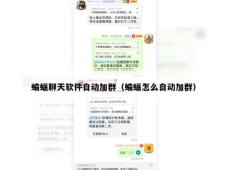 蝙蝠聊天软件自动加群（蝙蝠怎么自动加群）