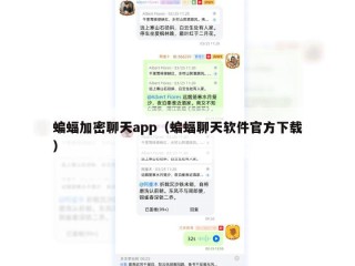 蝙蝠加密聊天app（蝙蝠聊天软件官方下载）