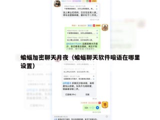 蝙蝠加密聊天月夜（蝙蝠聊天软件暗语在哪里设置）