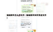 蝙蝠聊天怎么传文件（蝙蝠聊天如何发送文件）