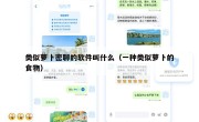 类似萝卜密聊的软件叫什么（一种类似萝卜的食物）