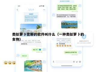 类似萝卜密聊的软件叫什么（一种类似萝卜的食物）