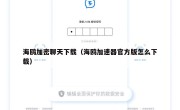 海鸥加密聊天下载（海鸥加速器官方版怎么下载）