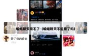 蝙蝠聊天用不了（蝙蝠聊天不能用了吗）