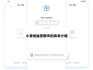 小青蛙加密聊天的简单介绍