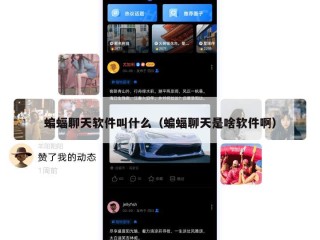 蝙蝠聊天软件叫什么（蝙蝠聊天是啥软件啊）