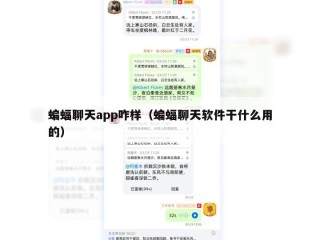 蝙蝠聊天app咋样（蝙蝠聊天软件干什么用的）