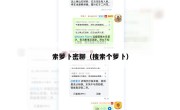 索萝卜密聊（搜索个萝卜）