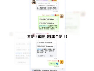 索萝卜密聊（搜索个萝卜）