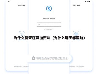 为什么聊天还要加密友（为什么聊天都要加）