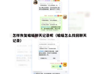 怎样恢复蝙蝠聊天记录呢（蝙蝠怎么找回聊天记录）