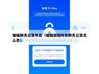 蝙蝠聊天记录导出（蝙蝠撤回所有聊天记录怎么弄）